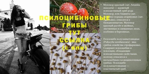 mdma Новодвинск