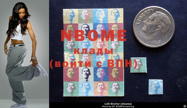 гидра Новозыбков