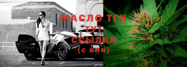 гидра Новозыбков