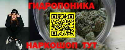 спайс Гай