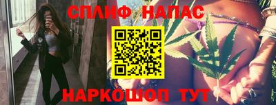 прущие грибы Гагарин