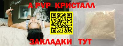 спайс Гай