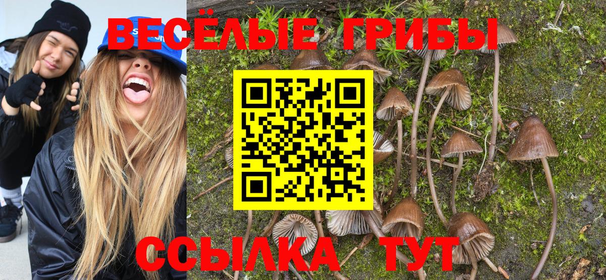 Галлюциногенные грибы прущие грибы  Ишимбай 