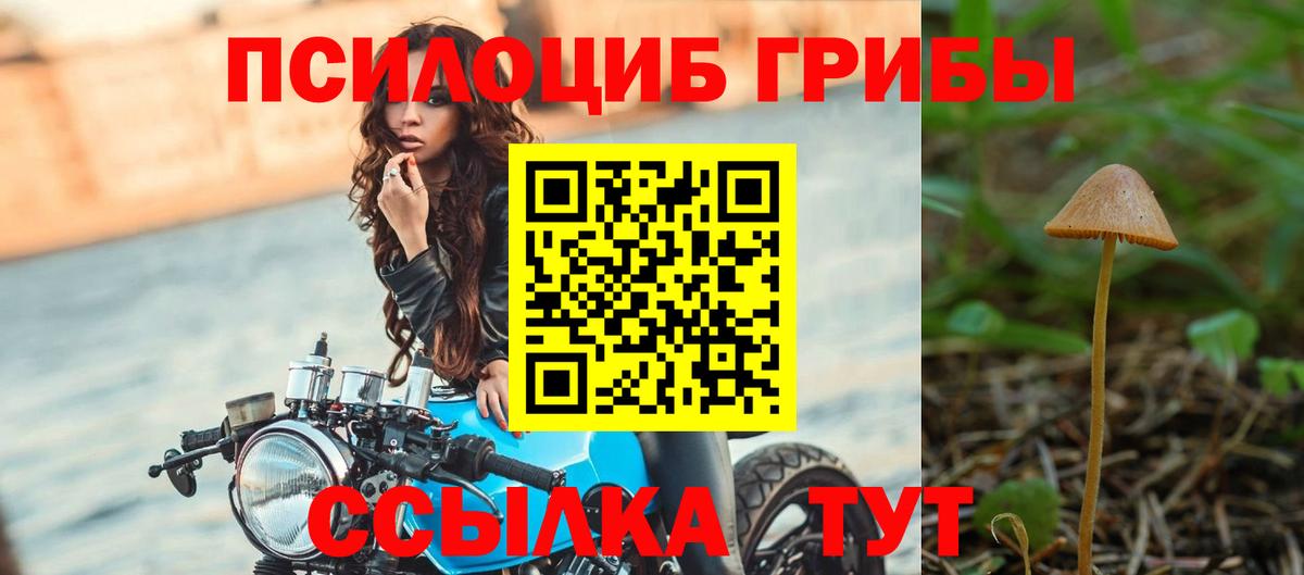 Псилоцибиновые грибы прущие грибы Ишимбай