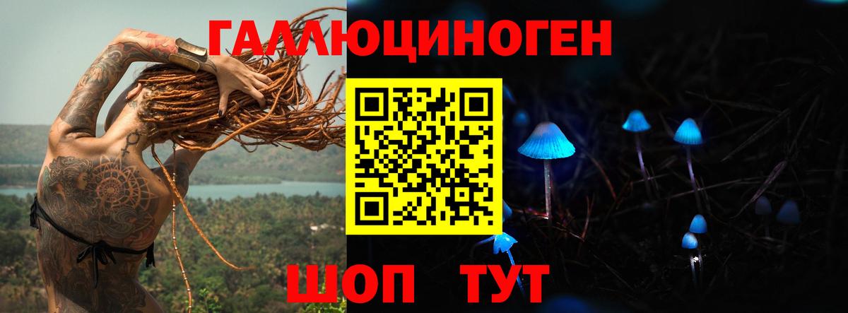 Псилоцибиновые грибы Cubensis Ишимбай